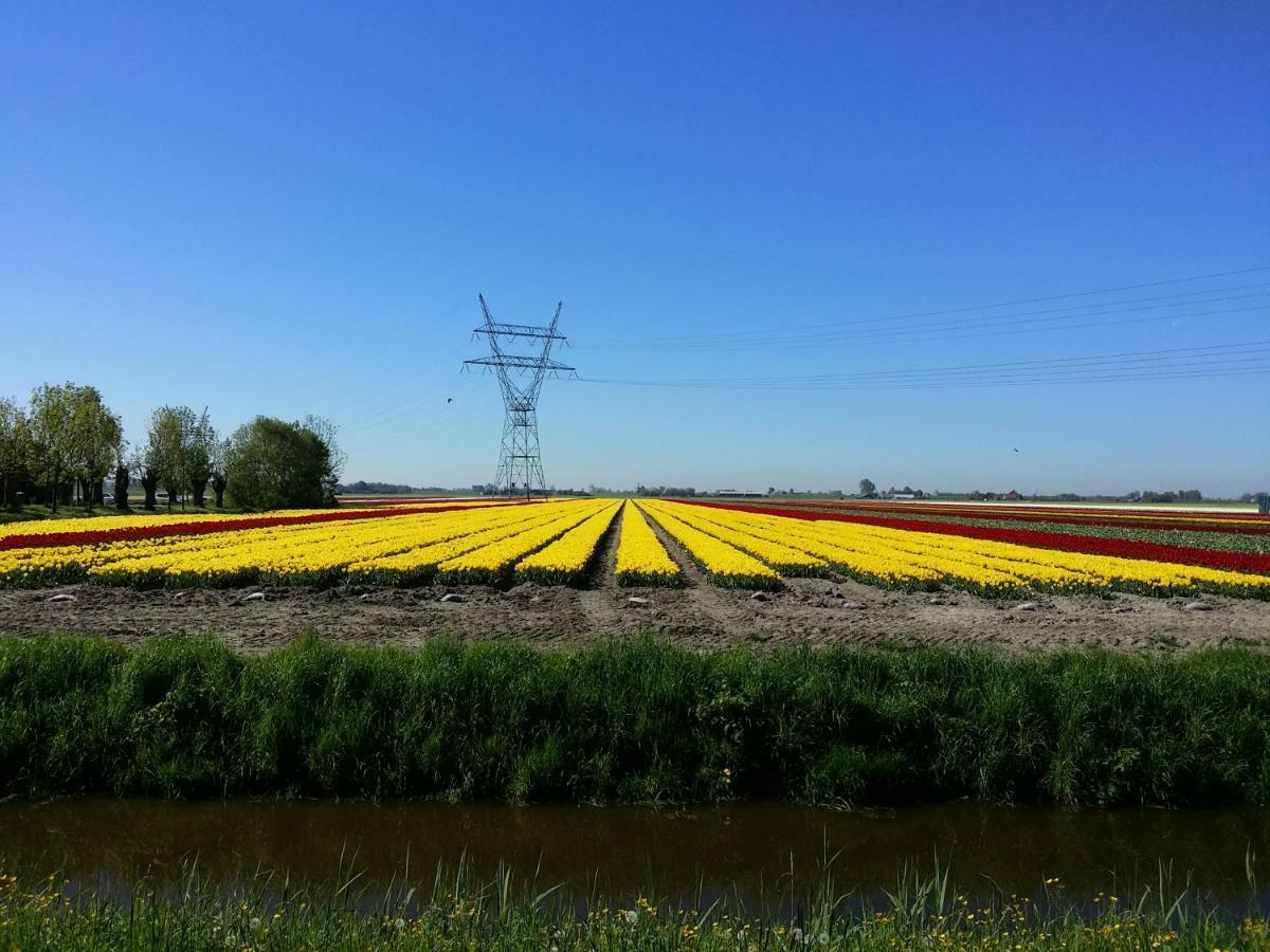 Gastenverblijf Bij De Molen Tussen Alkmaar En Hoorn Oterleek Exteriér fotografie
